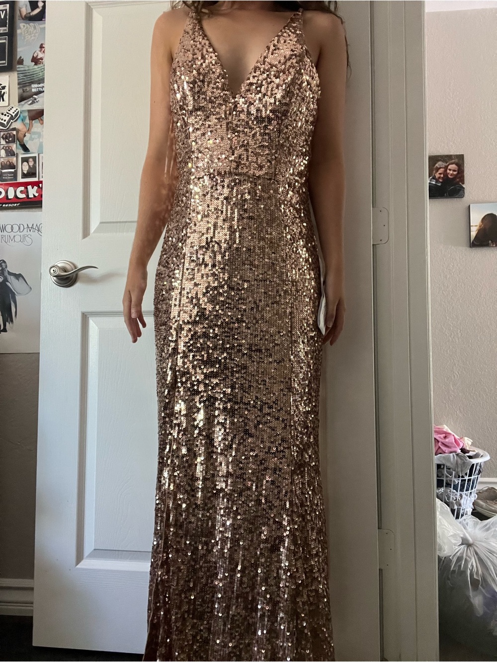Dress the Population Sequin Gown - Picture 14 of 15